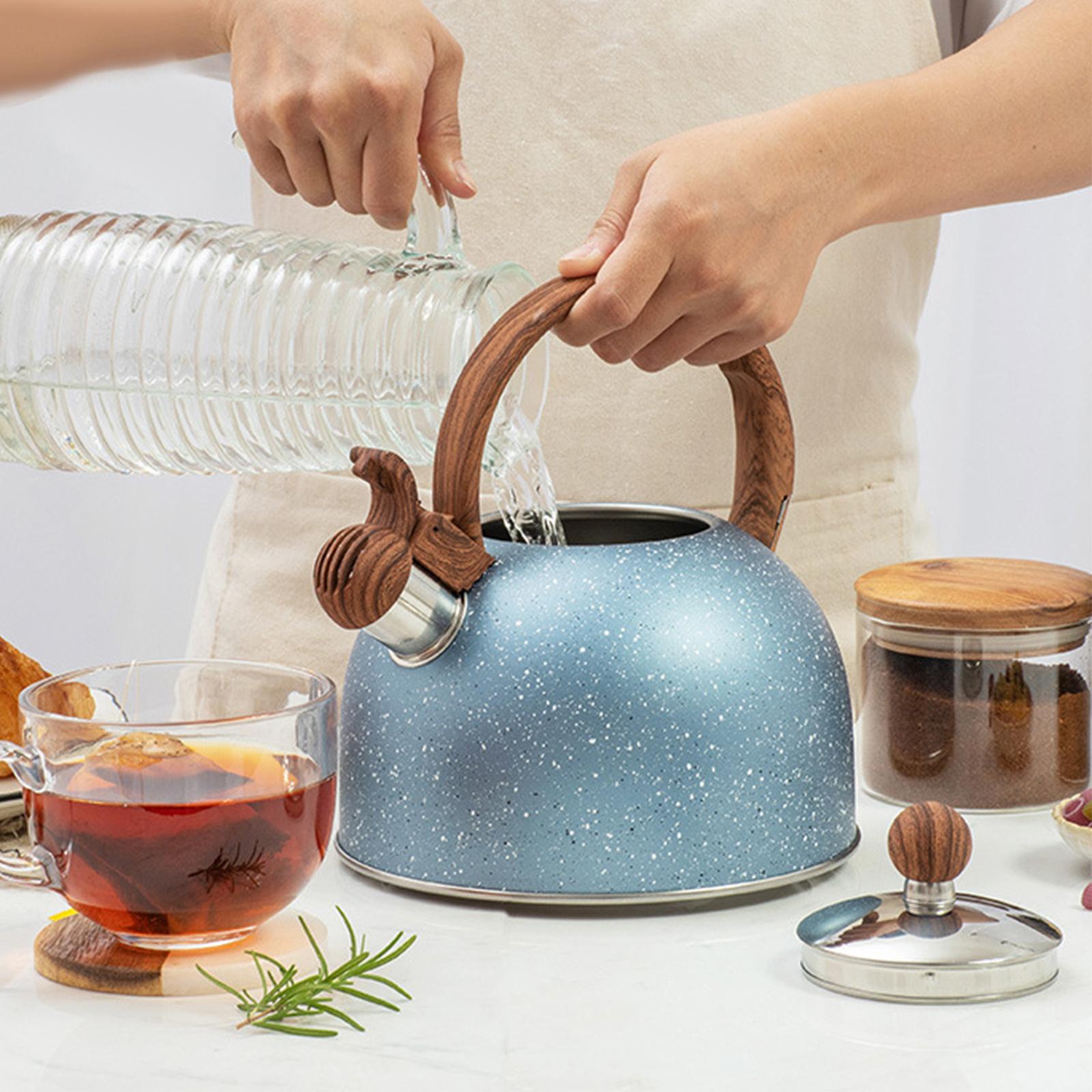 Hervidor de Agua para Estufa,  - Coffee Tea Etc reseña y precio