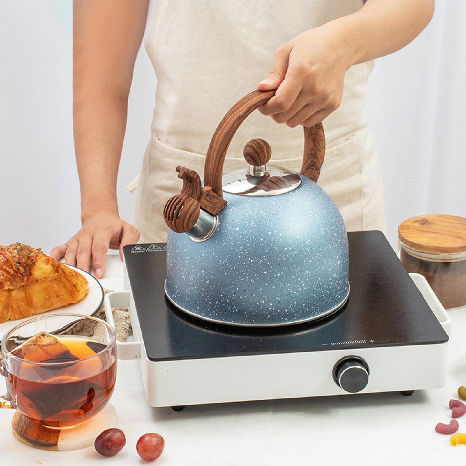 Hervidor de Agua para Estufa,  - Coffee Tea Etc reseña y precio