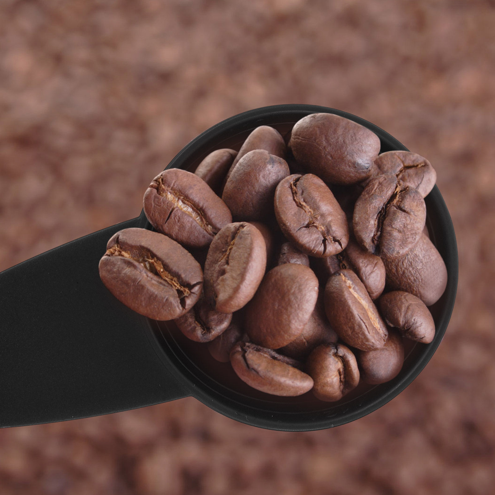 Cucharas medidoras de mango la - Coffee Tea Sugar reseña y precio